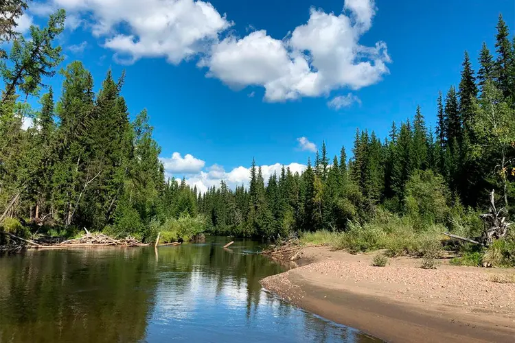 Государственный природный заповедник «Азас» 
